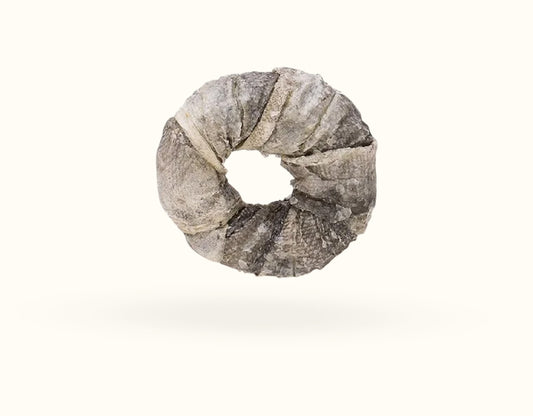 Fish Skin Ring