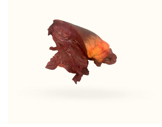 Horse Heart Chunks 1kg