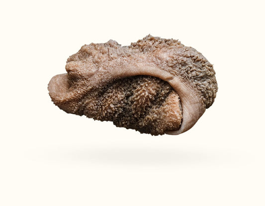 Lamb tripe, whole CHUNK single and locally sourced weighing between 500-700g but may fall either side of this