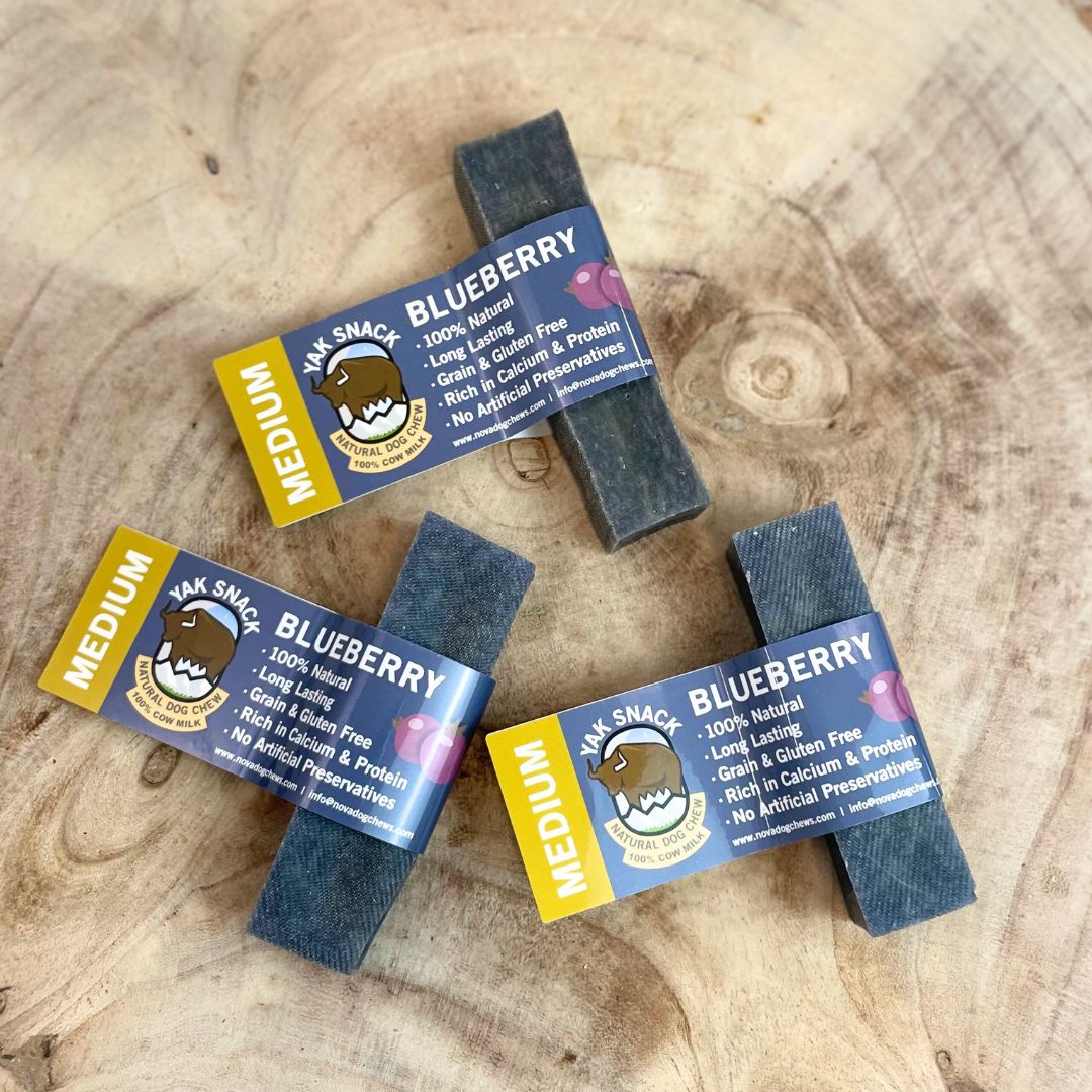 Yak Dog Chew Blueberry - Medium