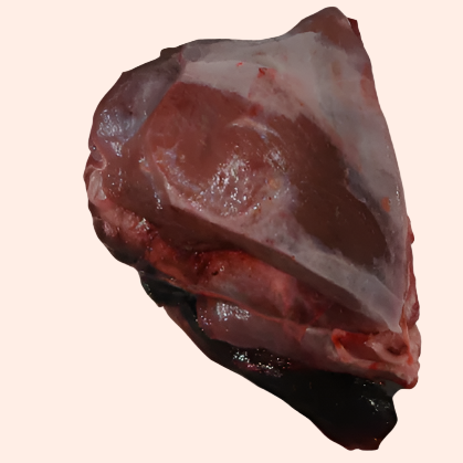 Muntjac Deer Meaty Necks Approx 500g