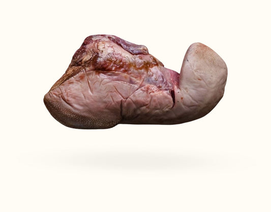 Ox Tongue Whole