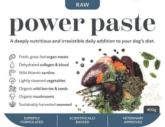 Power Paste
