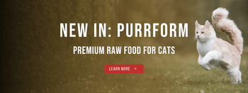 The Dogs Butcher The Dogs Butcher The Dogs Butcher