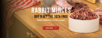 The Dogs Butcher The Dogs Butcher The Dogs Butcher