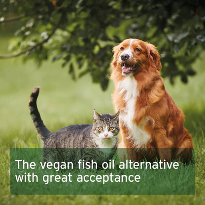 AniForte Algae Oil 50ml