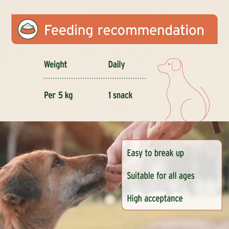 AniForte Immunity Snack 300g