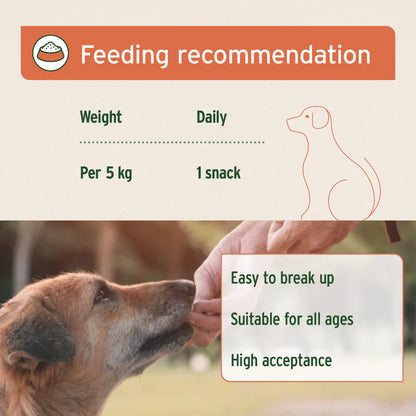 AniForte Immunity Snack 300g