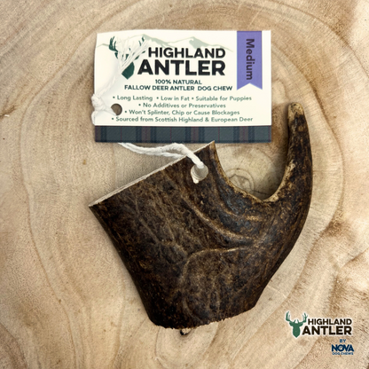 Antler Fallow Medium (Min 75g)
