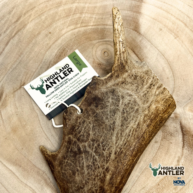 Antler Fallow Large (Min 150g)
