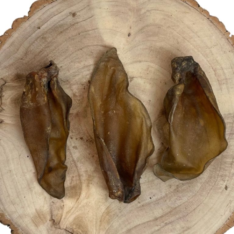 Buffalo Ear – The Dogs Butcher