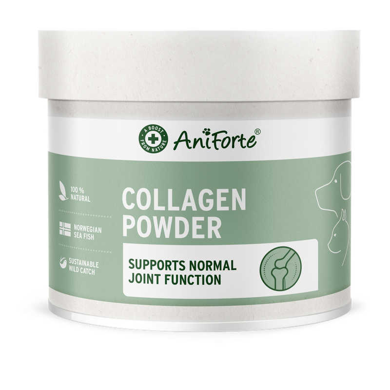 AniForte Collagen Powder 250g