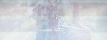 Delivery Information THE DOGS BUTCHER B2C