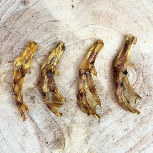 Duck Feet x 5