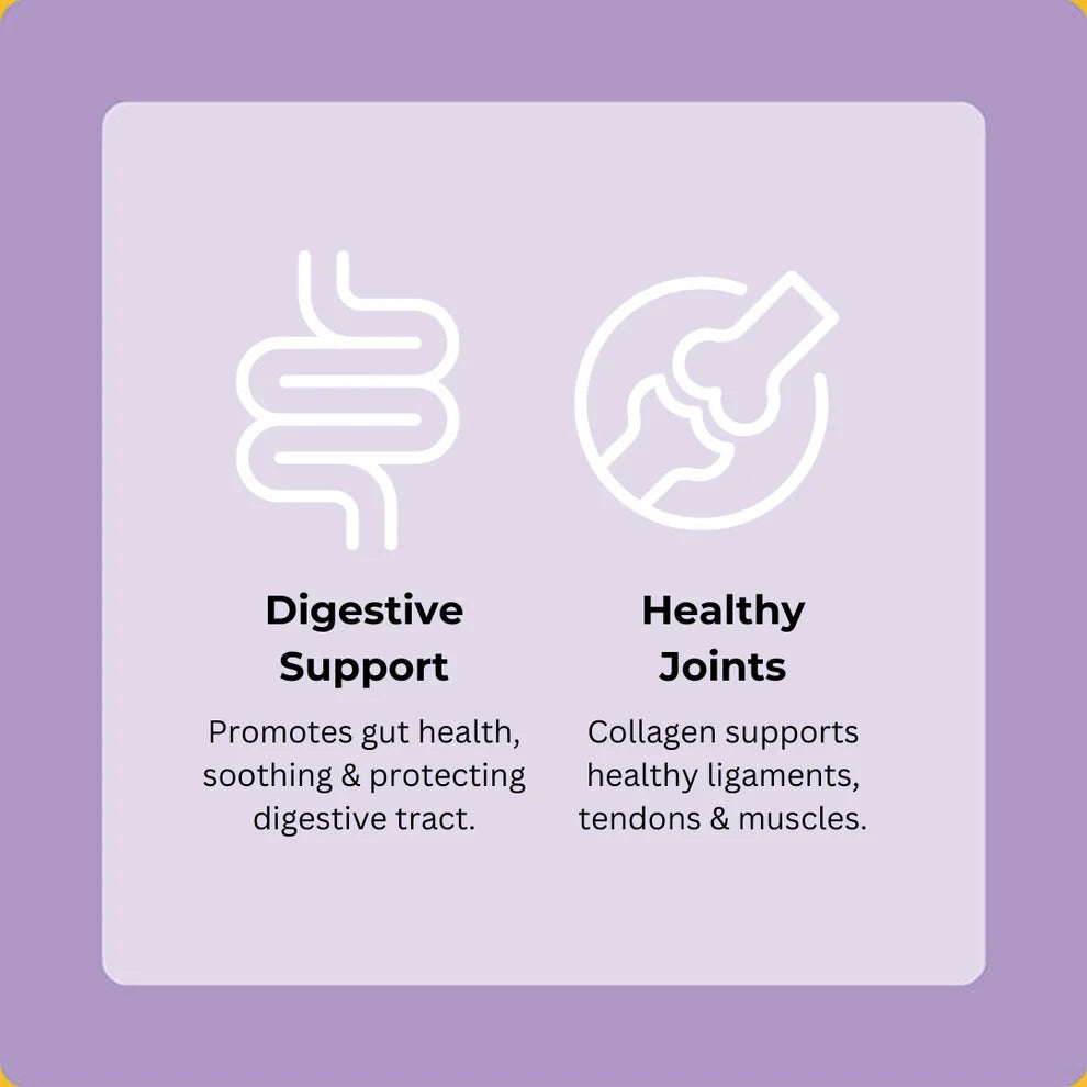 Axels Elixir Festive Turkey, Cranberry & Sage Happy Bones