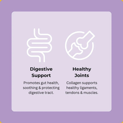 Axels Elixir Festive Turkey, Cranberry & Sage Happy Bones