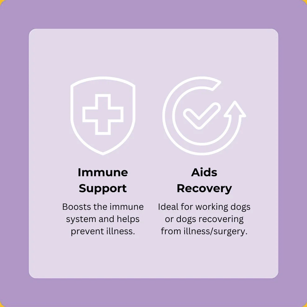 Axels Elixir Festive Turkey, Cranberry & Sage Happy Bones