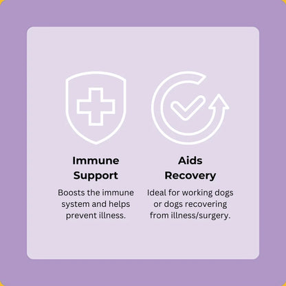 Axels Elixir Festive Turkey, Cranberry & Sage Happy Bones