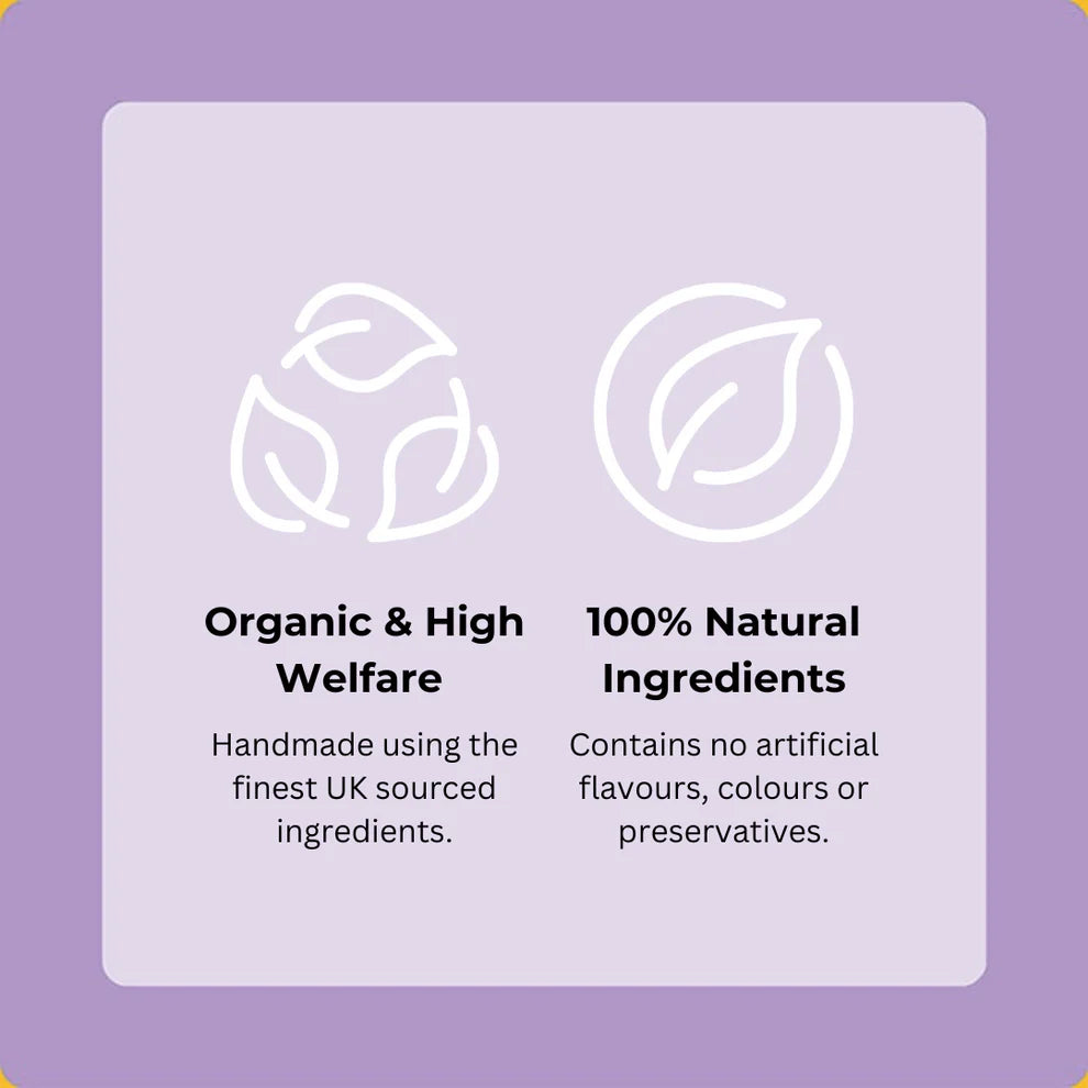 Axels Elixir Festive Turkey, Cranberry & Sage Happy Bones