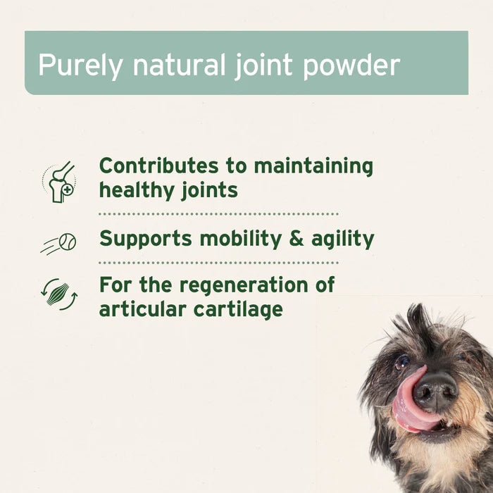 Aniforte Green Lipped Mussel Powder for Dogs and Cats - Joint Support