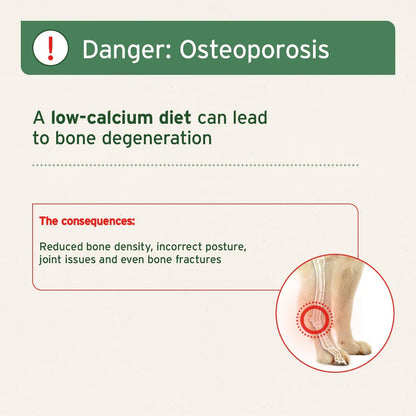 Ground Beef Bones - Natural Calcium Supplement for Dogs & Cats