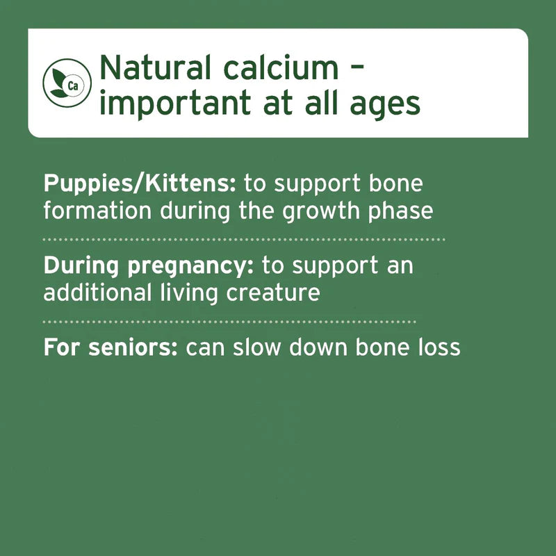 Ground Beef Bones - Natural Calcium Supplement for Dogs & Cats