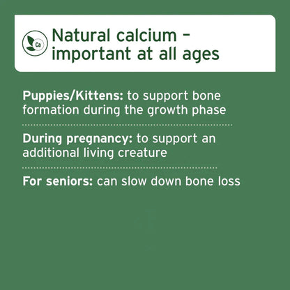 Ground Beef Bones - Natural Calcium Supplement for Dogs & Cats