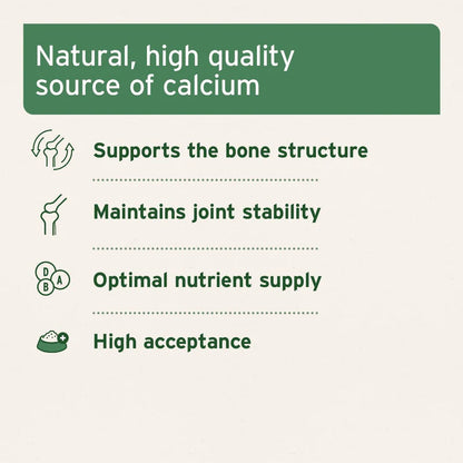 Ground Beef Bones - Natural Calcium Supplement for Dogs & Cats