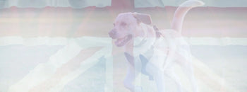 Highlands and Islands Deliveries