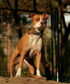 For the following postcodes/locations – delivery will be made in two days: