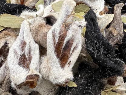 Hairy Lamb Ear