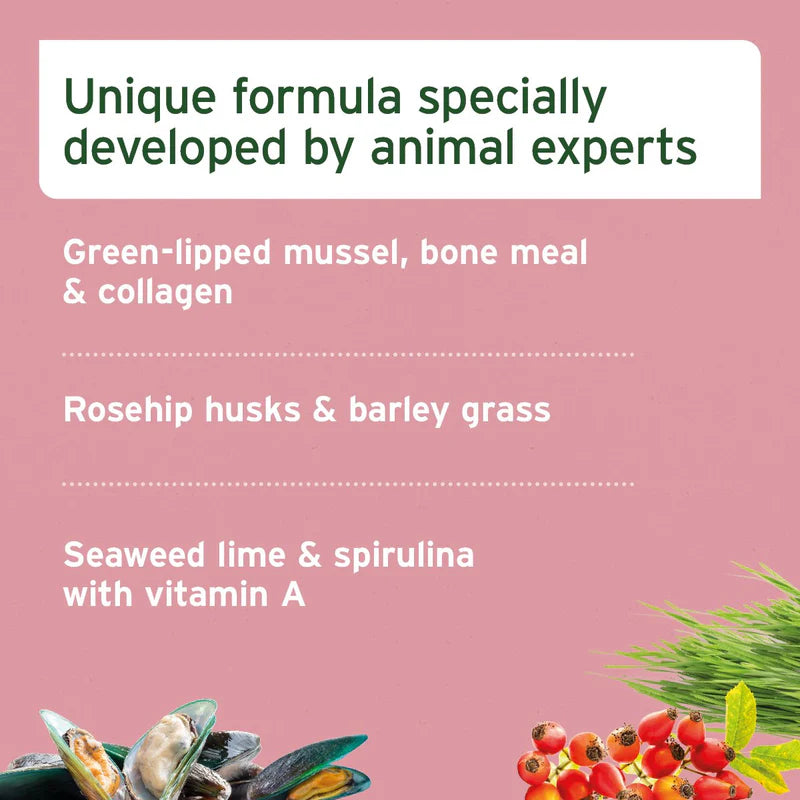 Junior Active Supplement 250g - Supports Healthy Development