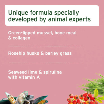 Junior Active Supplement 250g - Supports Healthy Development