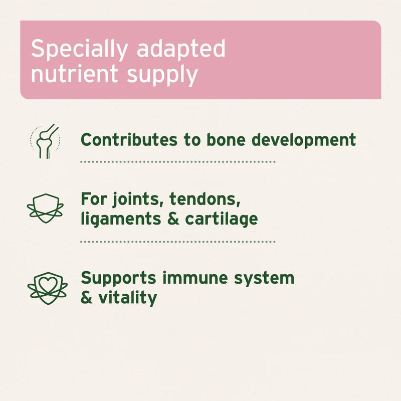 Junior Active Supplement 250g - Supports Healthy Development