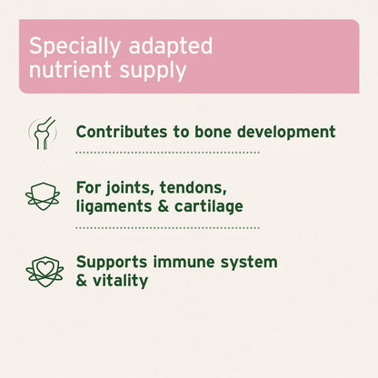 Junior Active Supplement 250g - Supports Healthy Development