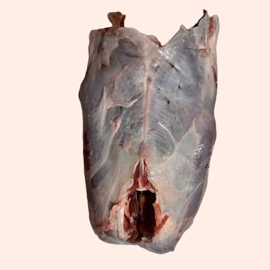 Muntjac Deer Meaty Rump