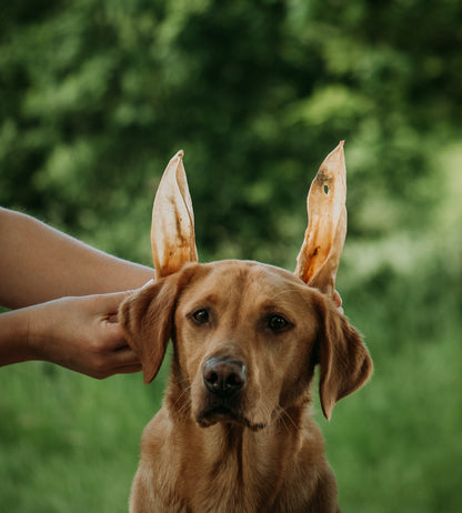Goat Ear