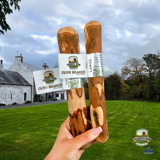 Olive Branch Large (220-450g)