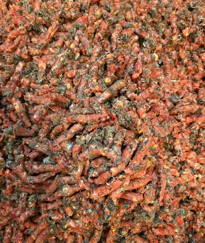 Whole Partridge Minced In Feather 1KG