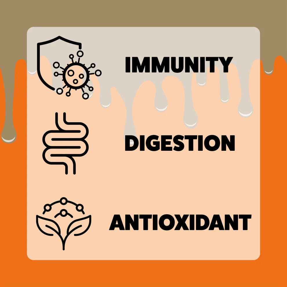 Axels Elixir Milk & Honey Pumpkin Spiced Latte Happy Bones