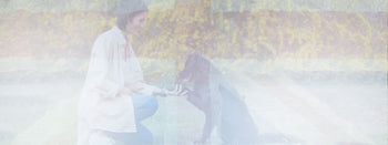 Returns Policy THE DOGS BUTCHER B2C