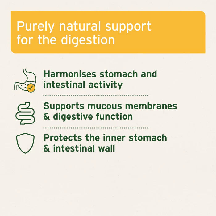 Aniforte Slippery Elm Bark Powder - Supports Digestion and Healthy Gastric Mucosa 100g