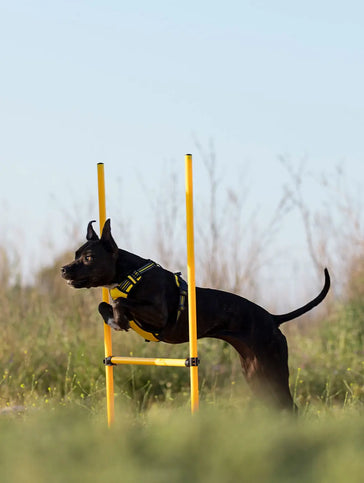 CORNWALL ROUTE 2025 DELIVERY DATES AND ORDER DEADLINES